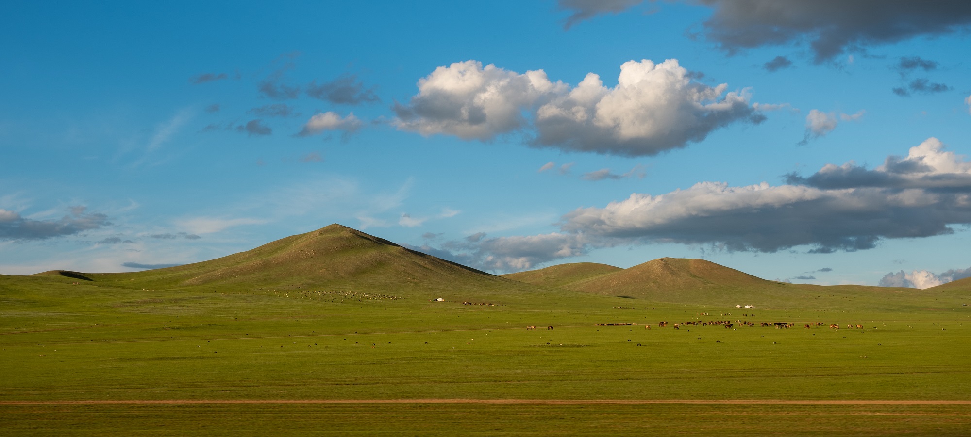 Cycling Mongolia